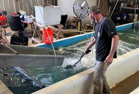 HKD Stuttgart National Aquaculture Research Center USDA-ARS Stuttgart,  Arkansas MARCH