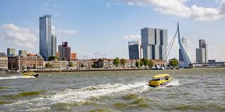 Rotterdam is a city in the province of south holland in the west of the netherlands. We Connect You To Rotterdam Rotterdam Partners Rotterdam Partners