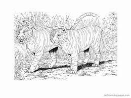 Want to provide a fun activity for your child to have a closer look on wild animals, especially tiger? Tiger Coloring Pages Hard Bmo Show