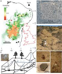 Imo, the home remedy of using aloe vera spray can help to kill the termites and bugs naturally very fast. The Distribution Of Syntermes Dirus Termite Waste Mounds Across Download Scientific Diagram