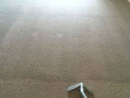 mercial carpet cleaning pany