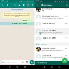 Kak Pereslat Soobshenie V Whatsapp Drugomu Cheloveku