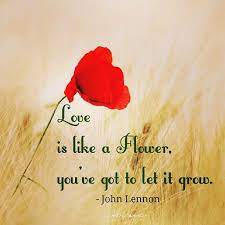 'i love you as certain dark things are loved, secretly, between the shadow and the soul.', jo. Love Is The Flower You Ve Got To Let Grow John Lennon John Lennon Quotes Musician Quotes Love Words