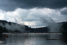 Nu ne asumam raspunderea pentru pagubele produse prin utilizarea acestor informatii, fie ele directe sau indirecte. Cu Barca Pe Valea Draganului Lili