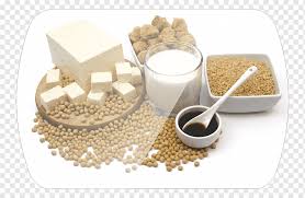 Apakah anda ingin protein nabati? Susu Kedelai Makanan Kedelai Bertekstur Protein Nabati Protein Kedelai Mlk Makanan Lainnya Kedelai Png Pngwing