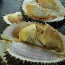 Misi mencari durian balik pulau, pulau pinang lokasi perjalanan: Durian Balik Pulau 62 Visitors