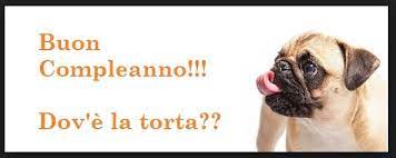 Auguri Di Buon Compleanno Divertenti Ad Un Amica Buon Compleanno Buon Compleanno Divertente Compleanno Divertente