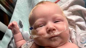 Fundraiser for Dana Whynot by Mariah Chatelaine : Charlie Douglas Snair