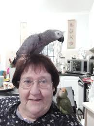 Alicia Doolittle's Instagram, Twitter & Facebook