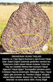 Iskandinav Runik Taslari Ejderha Ve Yilan Figuru Kozmos U Yani Evren I Ifade Eder Kalpli Dugum Seklinde Gosterilen Sembol Ise Ej Ejderhalar Hayat Agaci Evren