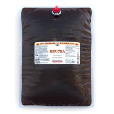 Image result for Brucea