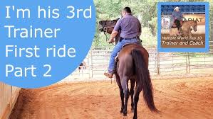 Level C1 Division C Dressage Test 3 Class 22 MADISON MAHON