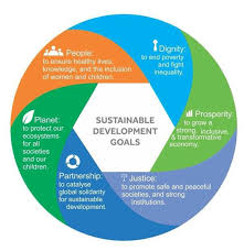 Everything You Wanted To Know About The Sustainable Development Goals Sustainable Development Goals Sustainable Development Sustainable Development Projects