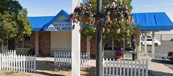 408-246-1893 - VCA - Vets & Pets Animal Hospital - Animal Hospital in Santa  Clara, CA | Find & Book Pet Boarding