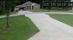 19 Year Old Saves Child From Dog Attack Youtube