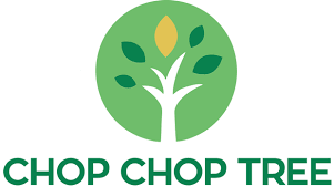 Keep an eye on your trees. Tree Trimming Albany Ny Tree Service Removal