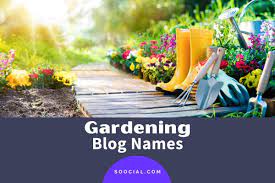 Maybe you would like to learn more about one of these? 1391 Catchy Gardening Blog Name Ideas Soocial