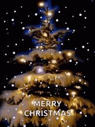 I wish you all have a wonderful time with your family ^v^ be happy, love you all. 10 Fun Christmas Quotes And Gif Images