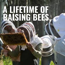 Over 25 years, Gilbert Wolfe and his wife Sharon have grown their initial  honey crop into Canada's largest organic apiary with full production,  packaging and distribution capabilities. Many things have changed since