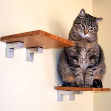 Cheap prices and huge selection. 14 Best Diy Cat Shelves To Build For Your Feline Friend