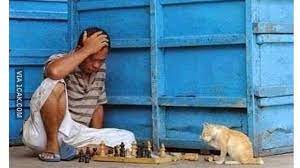 Menyadur guardian senin (28/06), bharat mistry dan tetangganya memiliki sebuah pohon. 6 Momen Kocak Bapak Bapak Main Catur Ini Bikin Tepuk Jidat Hot Liputan6 Com