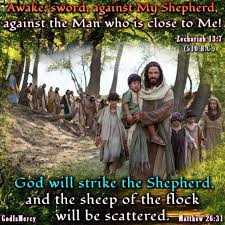 Pin On Biblical Quotes