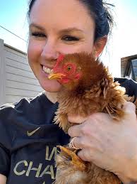 Do I need to separate a broody hen and her eggs from the flock?🐔🐣