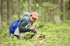 Wilderness Survival with the Colorado Mountain Club