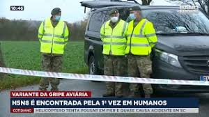 Todas las noticias sobre gripe aviar publicadas en el país. H5n8 E Encontrada Pela 1Âª Vez Em Humanos Youtube