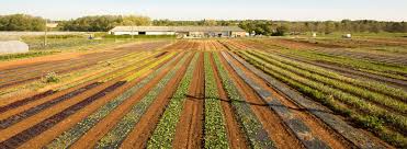 Vente De Produits Vendeens A La Ferme