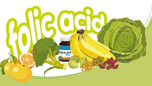 Image result for FOLIC ACID