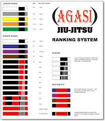 The path to this particular belt isn't very easy as a typical student usually trains for nearly 10 years before acquiring the prize. Jiu Jitsu Belt