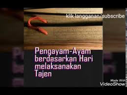 We did not find results for: Pengayam Ayam Berdasarkan Hari Dibali Youtube