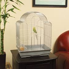 Bird Cage Seed Guard Petsmart Petco Designer Scallop Top Parakeet Cage Parakeet Cage Bird Cages Parakeet