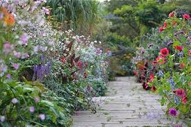 10 Garden Ideas To Steal From Ireland Gardenista 1000 English Garden Design Cottage Garden Design Cottage Garden