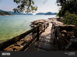 Book nipah guesthouse, pangkor on tripadvisor: Teluk Nipah Coral Image Photo Free Trial Bigstock