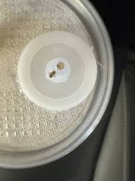 Easy Feed Dispenser Caps for Fruit Flies