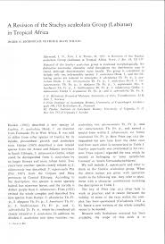 Image result for Stachys aculeolata