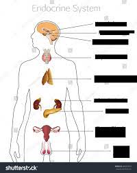 Our middle schoolers usually start with life science. Abeka 6th Grade Science Health Final Diagram Quizlet