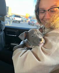 Jack Ebeling‎‏ (@‏‎jack_ebeling‎‏) • صور ومقاطع فيديو على Instagram