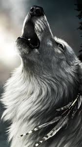 Pin De Umut Akgul 0 Em Turkcu Papel De Parede De Lobo Imagem De Lobo Olhos De Lobo