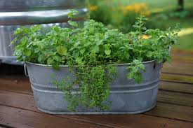 Maybe you would like to learn more about one of these? How To Grow Herbs In A Small Space Gardenary