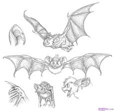 Pin Pa Animal Character Design