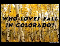 Who said that it had to be the prince that is only slayed the dragons. Who Loves Fall In Colorado Aspen Trees Gold Yellow Quote Autumn Mistysprouse Com Aspen Trees Mountain Designs Canon City