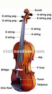 Top 5 Best Musical Instruments To Learn And Buy In July 2020 In 2020 Violin Sheet Music Violin Violin Teaching