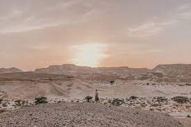 Walkabout israel về walkabout israel. The Call Of The Negev Desert The Ultimate Israeli Desert Road Trip Along Came An Elephant