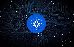 However, he had a falling out with ethereum's key person, vitalik. The Cardano Report Cardano Ada Twitter