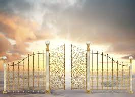 Though the bible does not comment about their usual form, it does says that there are various types of bodies in heaven as well. 5 People Who Say They Ve Been To Heaven Deseret News