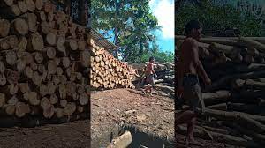 Pt ppi beri bantuan ke kaum dhuafa jabodetabek dan lampung saat covid. Atbg15qo7yeaim