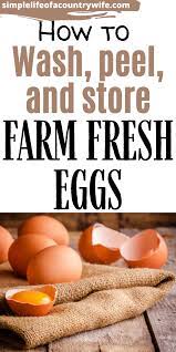 How To Wash Peel And Store Farm Fresh Eggs Farm Fresh Farm Fresh Eggs Fresh Eggs